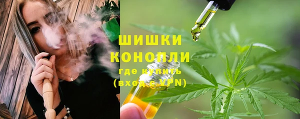 PSILOCYBIN Бородино